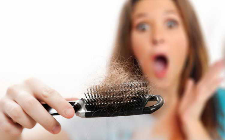 короставник при выпадении волос