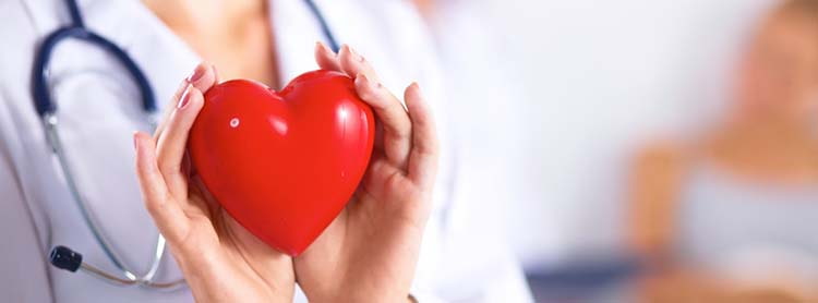 Профилактика болезней сердца при помощи люпина