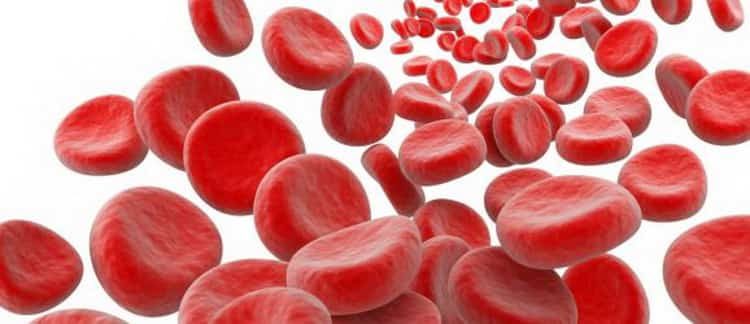 как поднять гемоглобин в крови