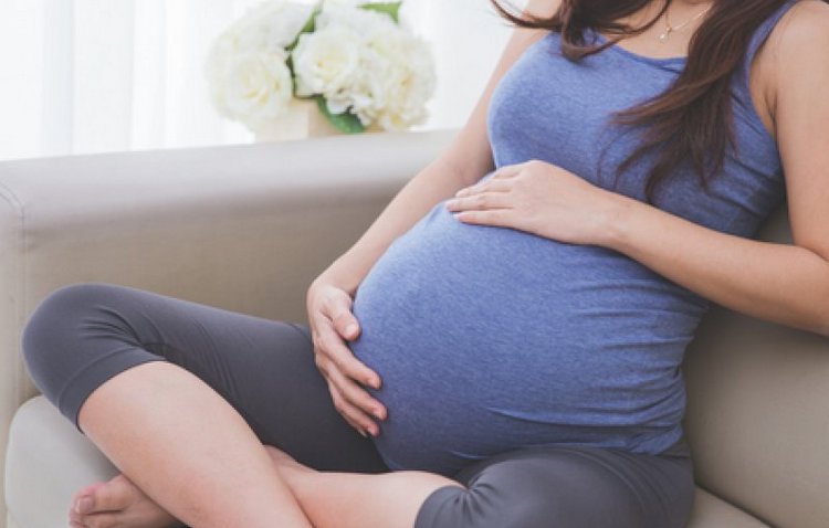 Дубровник снижает симптомы токсикоза у беременных.