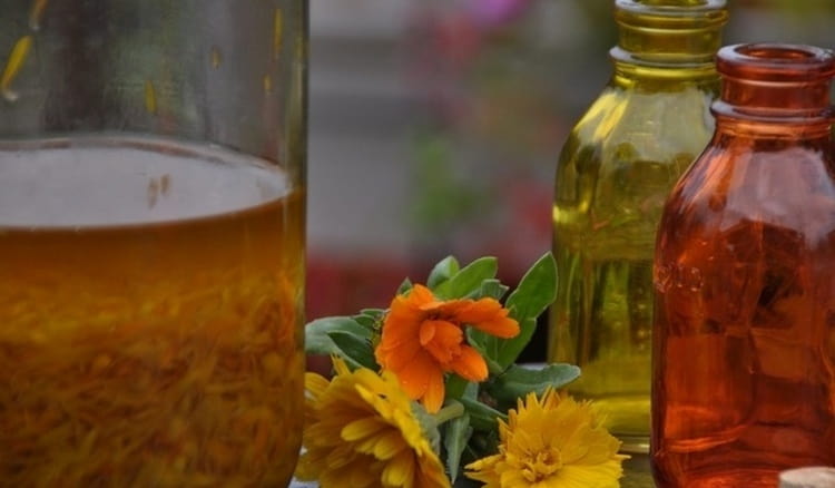 Цветки календулы часто используются для приготовления настоек, обладающих лечебными свойствами.