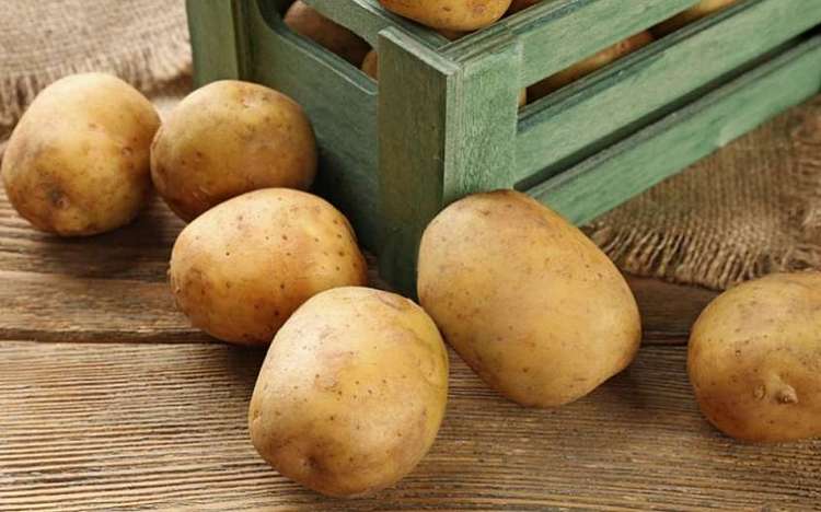 Польза картошки заключается в том, что в овоще содержится масса витаминов и микроэлементов.