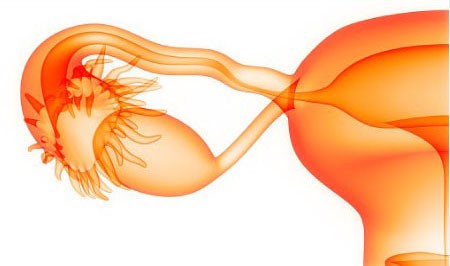 Нарушение функции репродуктивных органов
