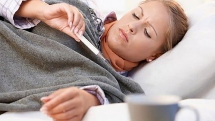 Цикорий можно использовать при простудных заболеваниях как жаропонижающее средство.
