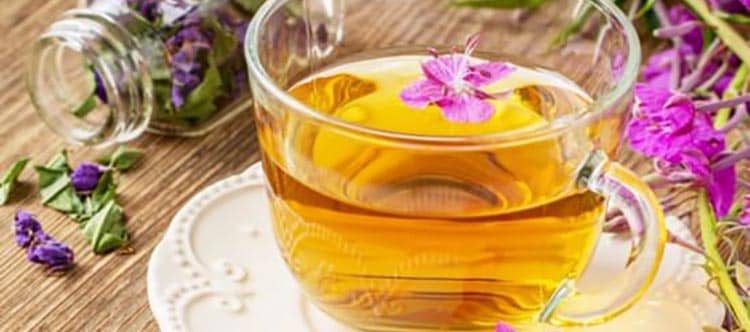 Чай с медуницей укрепит иммунитет