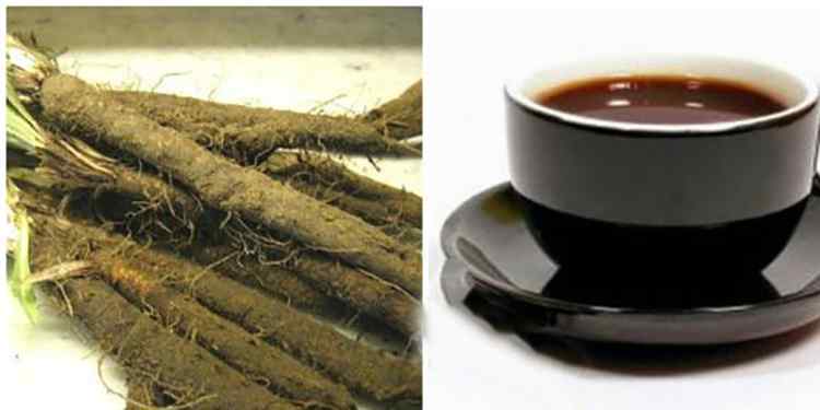 Скорцонера польза чая из растения