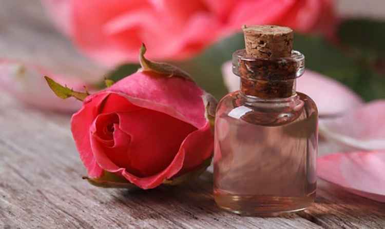 Роза крымская масло растения и его свойства