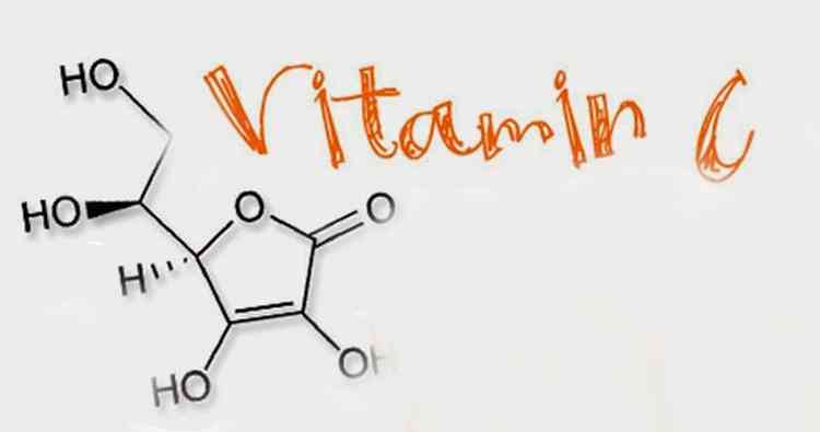 Актинидия витамин С в составе растения