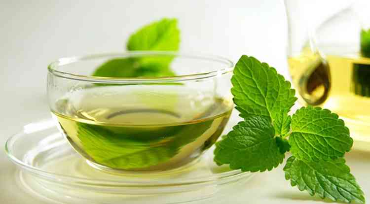 Стевия польза чая из растения