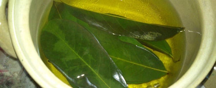 Отвар из листьев манго поможет при камнях в почках