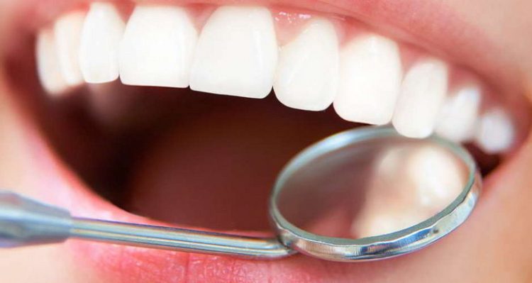 Польза клюквы для организма важна даже тем, что ягода помогает защитить зубы от кариеса.