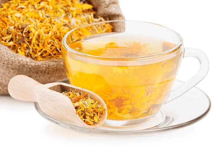 Лечебные свойства цветов календулы используются для приготовления целебного чая, для применения которого практически нет противопоказаний.