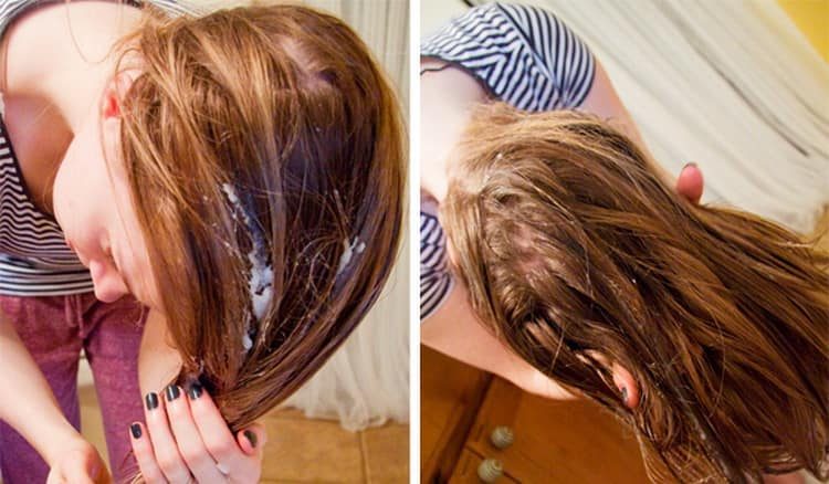 Можно ли масло для волос наносить на влажные волосы