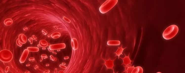  Низкие тромбоциты в крови у женщин: о чем это говорит, симптомы и лечение народными средствами в домашних условиях