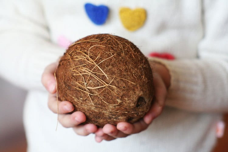 Узнайте также, как правильно выбрать хороший кокос.