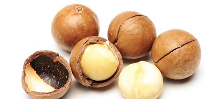 Орехи макадамии и их польза