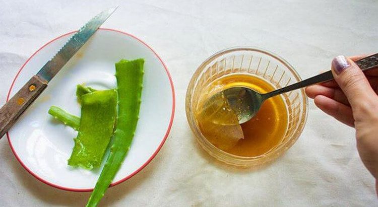 При лечении сухого кашля народными средствами используют также смесь сока алоэ с медом.