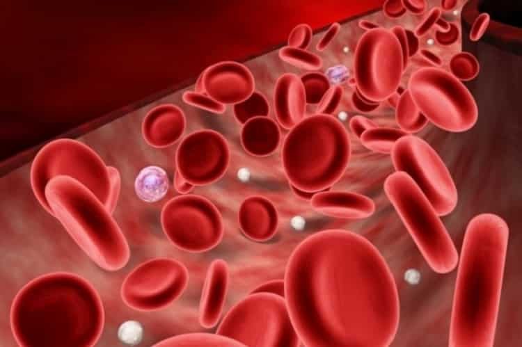 Густая кровь у мужчин: причины, симптомы и лечение народными средствами в домашних условиях