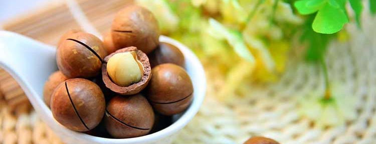 Достаточно небольшого количества орехов макадамии для поддержания организма в здоровом состоянии
