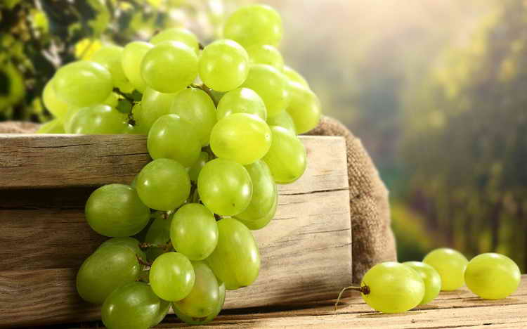 черный виноград польза и вред для организма