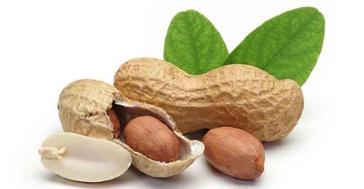 Свойства и пищевая ценность арахиса