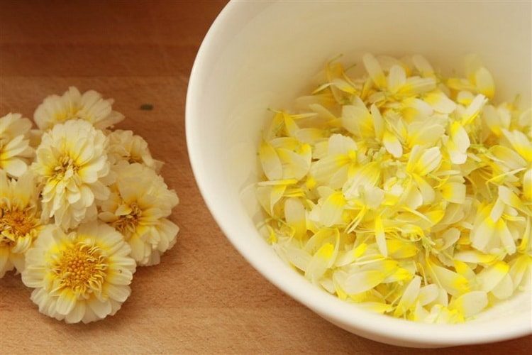 Цветки хризантемы лечебные свойства