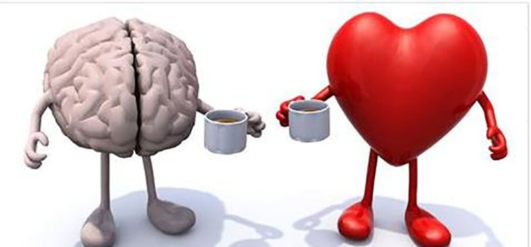 Работа сердца и мозга улучшится с приемом опят