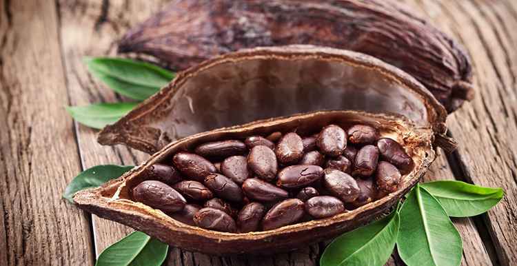 Какао бобы польза и свойства