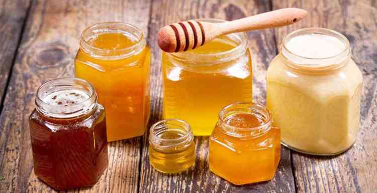 Хохлатка и производство мёда с неё