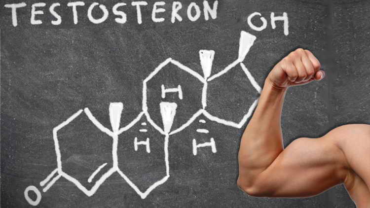 как повысить уровень тестостерона у мужчин
