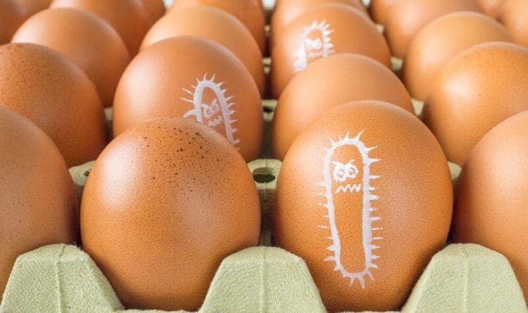 Очень часто инфекция попадает в организм человека через недостаточно обработанные термически куриные яйца.