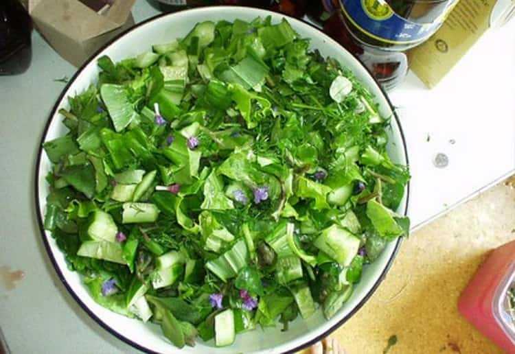 свежие листья даже добавляют в супы и салаты.