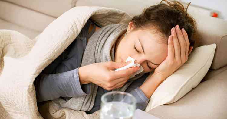 Айлант поможет в профилактике гриппа