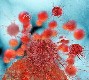 Раковые клетки и их влияние на организм