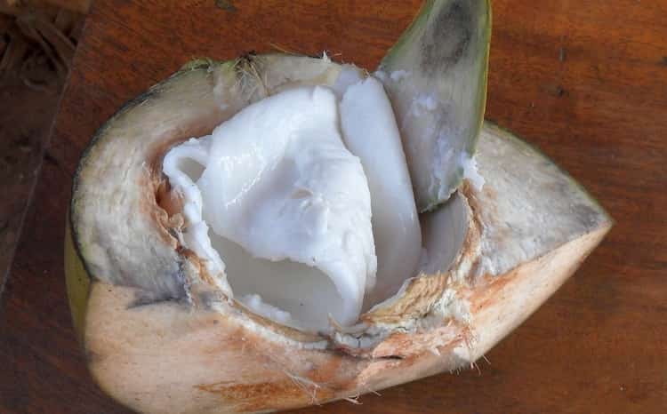 Узнайте все о пользе и вреде кокоса для организма.