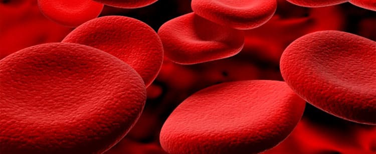 Маниока способствует выработке кровяных телец