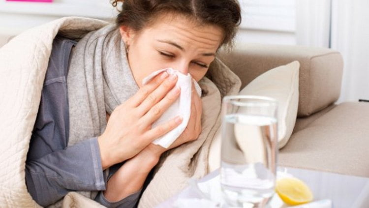 Эффективен копеечник и при лечении гриппа, ОРВИ, простуды.