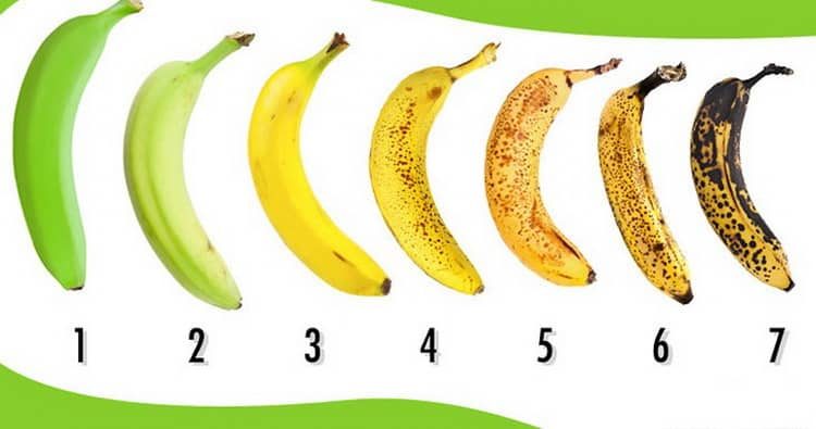 Польза, лечебные свойства и противопоказания к употреблению бананов