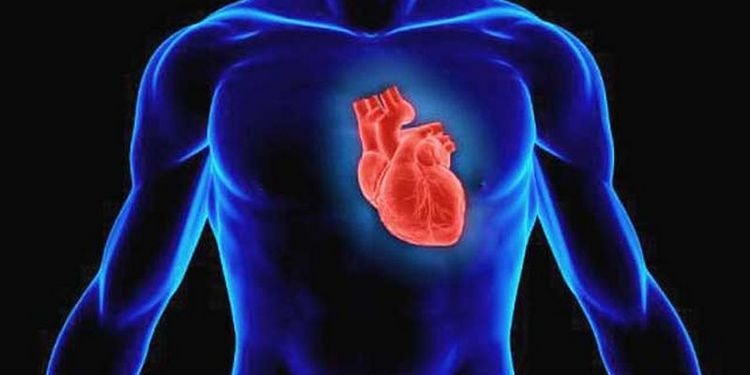 Болезни сердца тоже можно лечить препаратами на основе вереска.