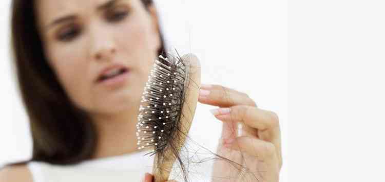 Хна растение поможет от выпадения волос