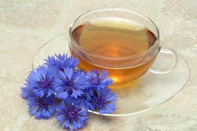 Лечебными свойствами обладает чай из василька синего.