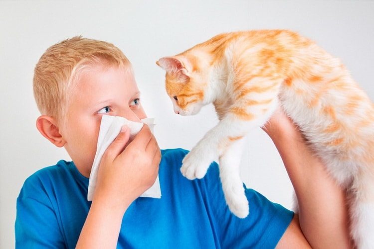 аллергический ринит у детей симптомы и лечение